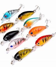 Hard Baits